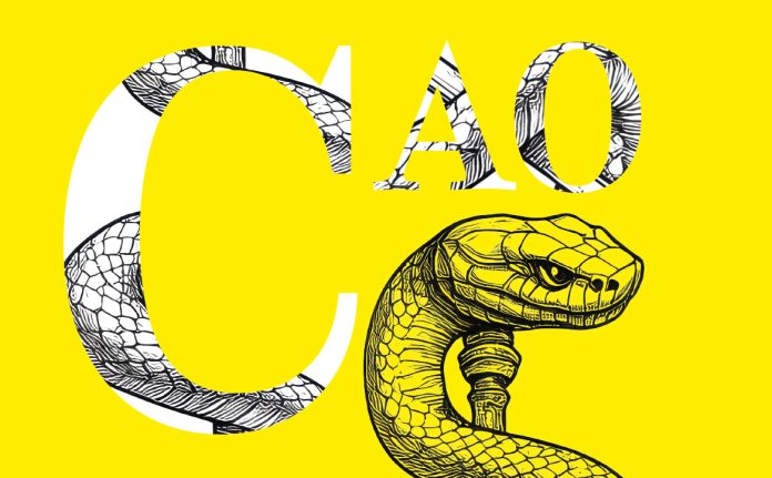 CAO: la mia visione e il mio impegno per la professione
