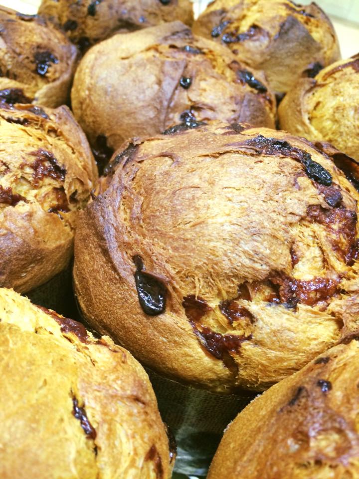 panettoni Panificio Amata panettoni Panificio Amata