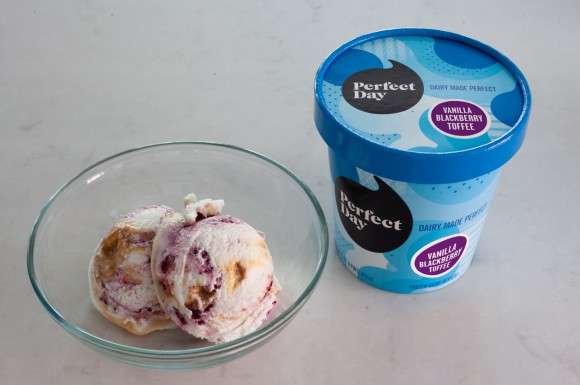 Ecco il gelato con le proteine “animal free” PerfectDay_VanillaBlackberryToffee2