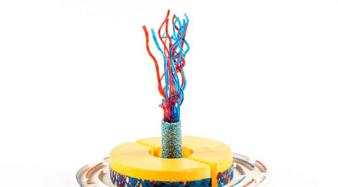 Coppa gelateria 2020