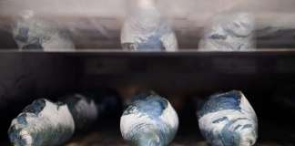 Matteo Cunsolo Pane Blu Pantone 0