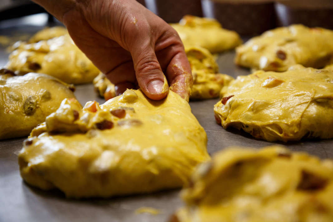 csm generica cms generica