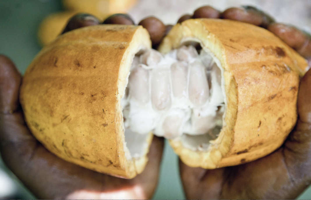 cabossa aperta cabossa aperta