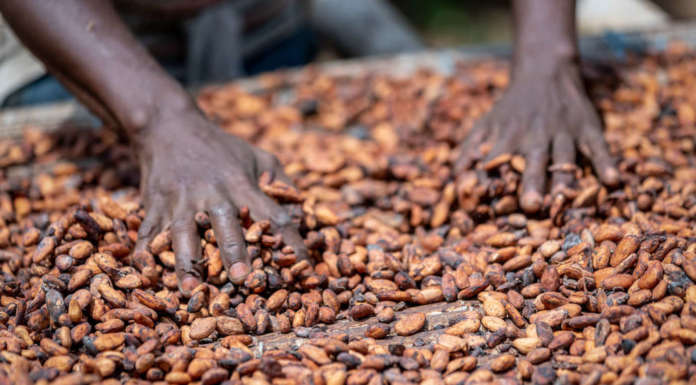 Il gelato di Ben&Jerry’s premia i coltivatori di cacao della Costa d’Avorio