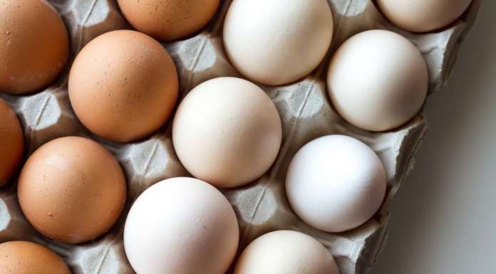 Gli ovoprodotti di Eurovo in formato ridotto per venire incontro agli esercenti