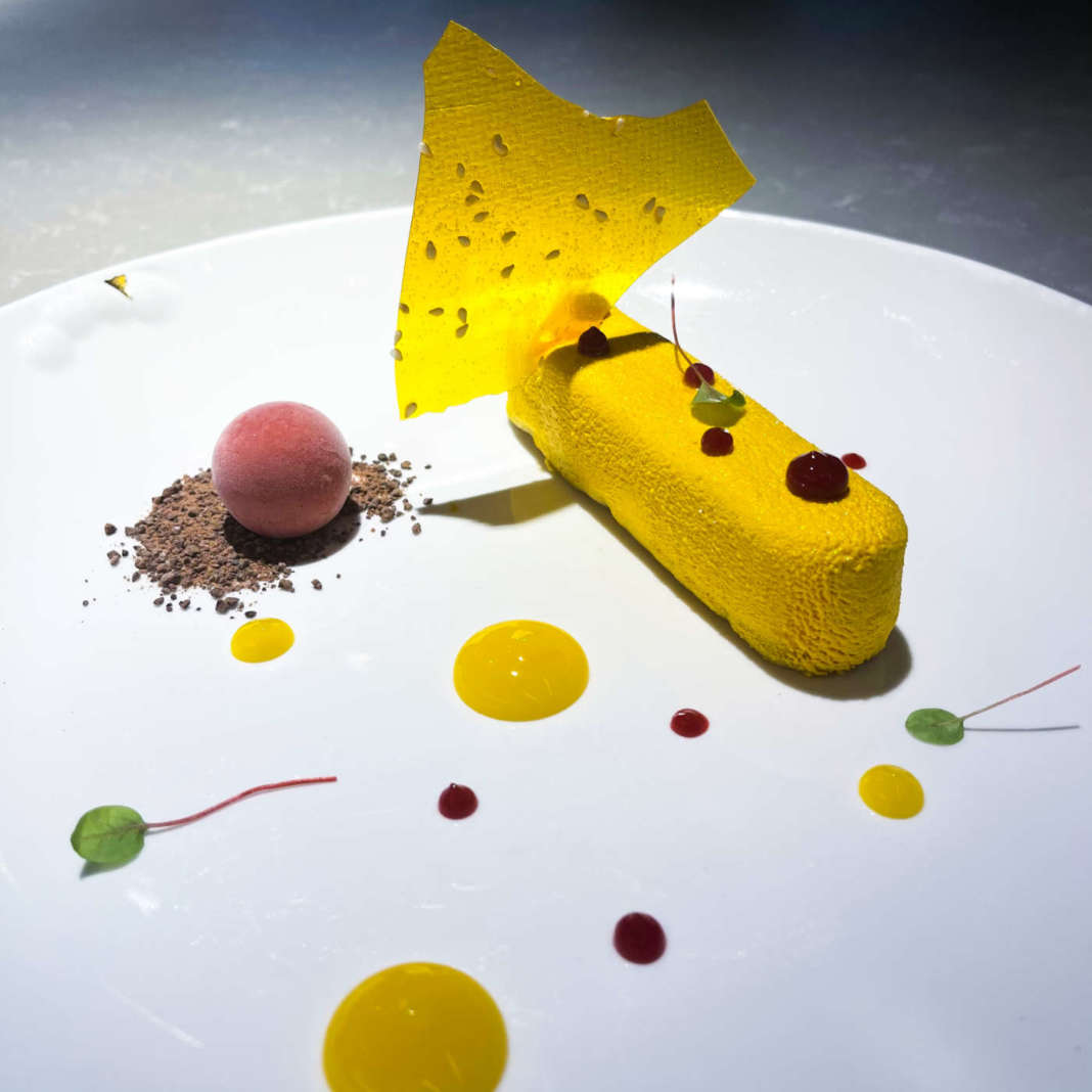 lemon lady1 lemon lady1