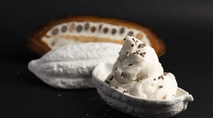 Come nasce il gelato al frutto del cacao _DSC9796_GelatoCabossa_RenataVesely