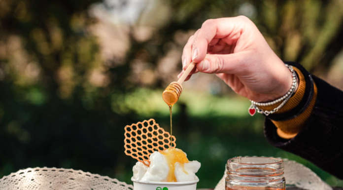 Tonka gelateria_luppolo_agrumi