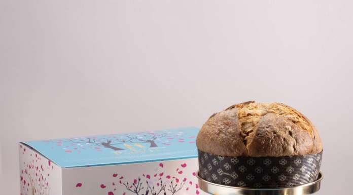 Da dolce stellato a panettone: nasce PanVita PanVita