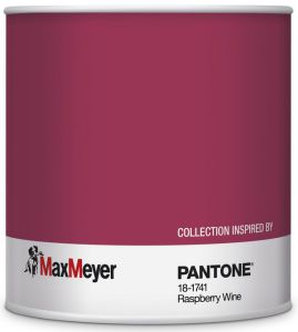 Smalto_maxmeyer pantone