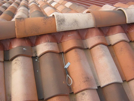 (foto San Marco Terreal)