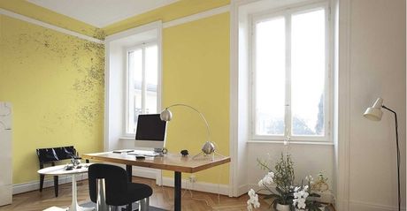 La muffa rappresenta un problema sempre più diffuso nelle abitazioni (foto San Marco)