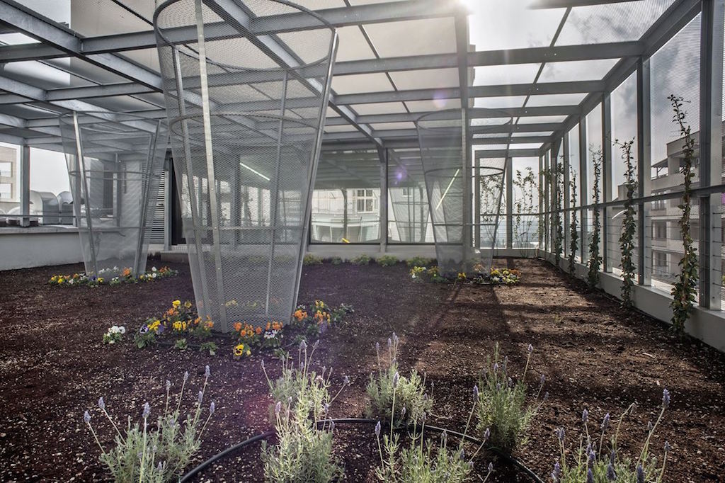 (foto di Daniela Pellegrini)