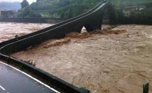 Una disciplina apposita sarà definita dal Governo per gli appalti concessi in situazione di emergenza di protezione civile che coniughi l'esigenze di tempestività con i meccanismi di controllo.