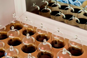 (foto di Francesco Mion)