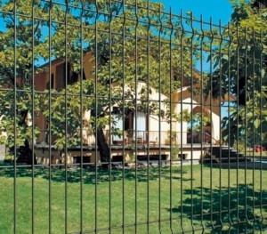 Panoplax (foto Cavatorta)