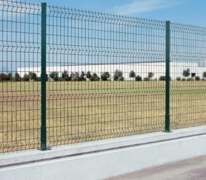 Panoplax2 (foto Cavatorta)