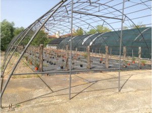 Centro di sperimentazione a Tarquinia utilizzato dal Consorzio di Bonifica della Maremma Etrusca