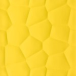 GARDENIA ORCHIDEA 02