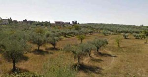 Aree verdi nella provincia di Montelibretti (Ri)