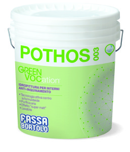 Confezione Pothos 003