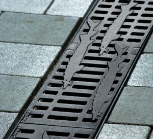 Aco Frestyle Sorione.