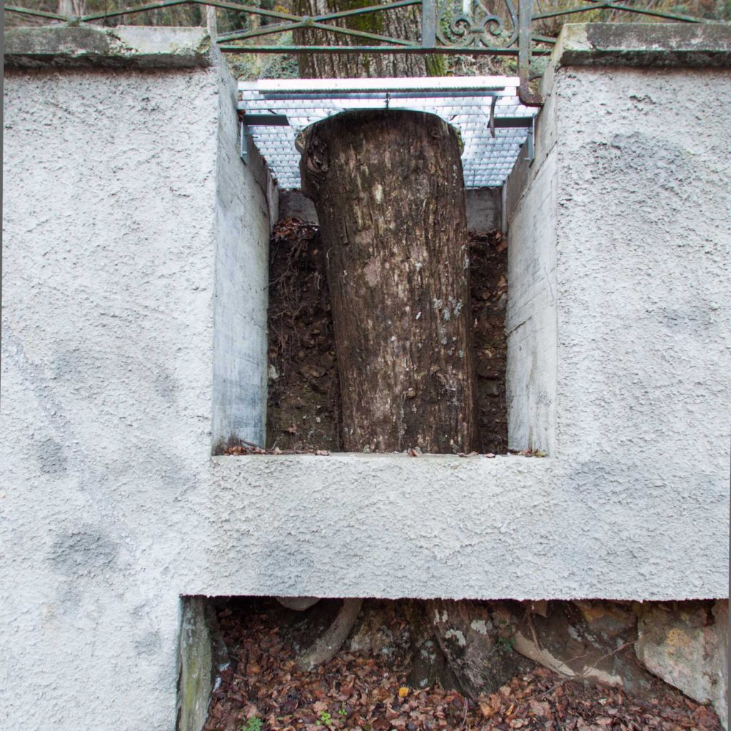 Particolare dell’integrazione sostenibile degli alberi.