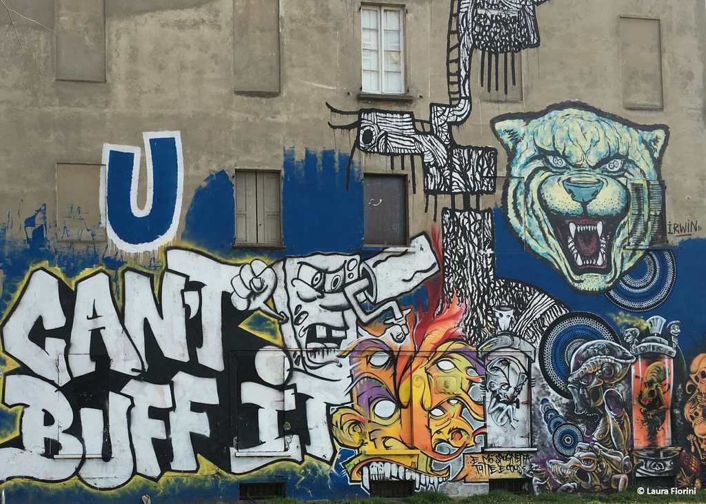 IMG_2557_laura_fiorini_01