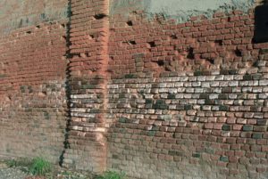 Danni dovuti a presenza di umidità da efflorescenze.