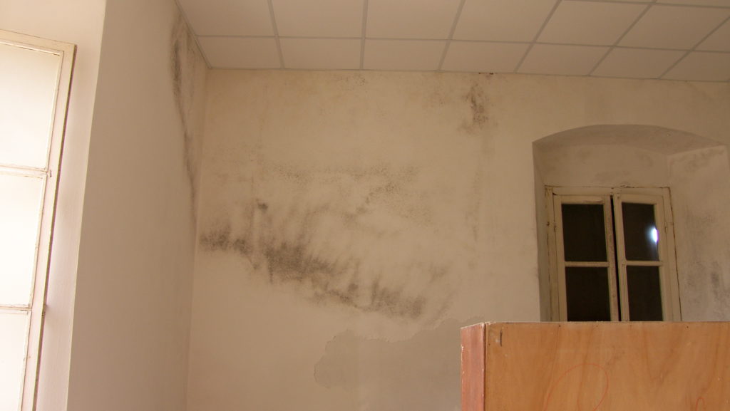 Faro del Capel Rosso | Interni primo piano con umidità da condensa.