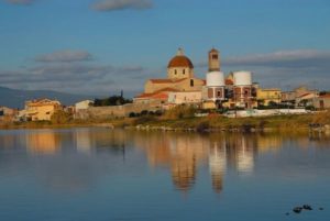 audis_cabras_oristano_1