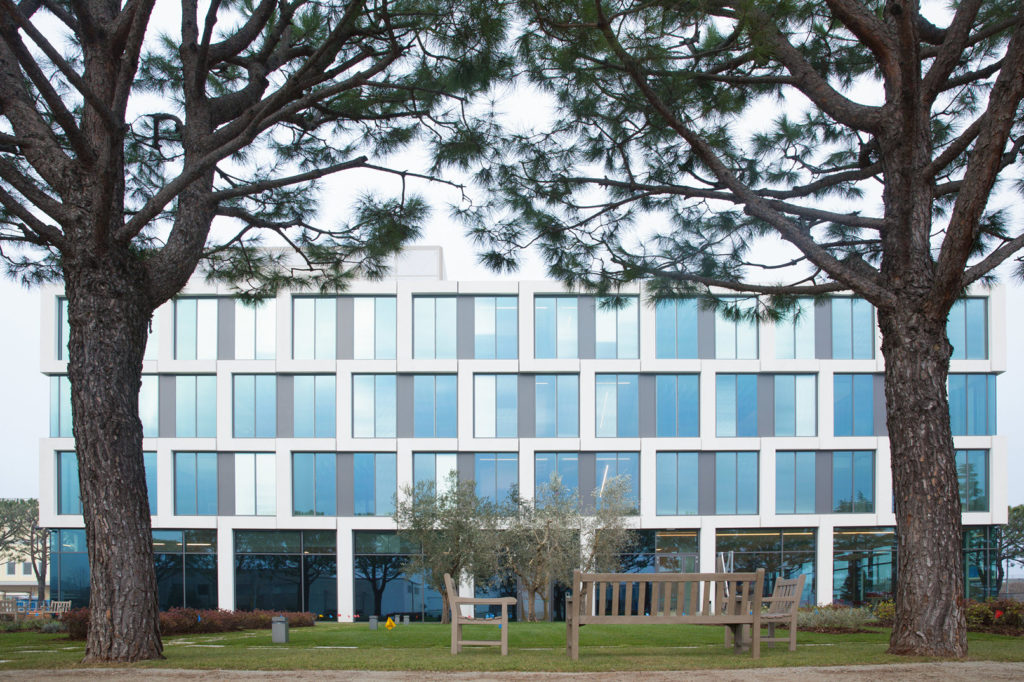 Nuovo campus cameo (foto cameo)