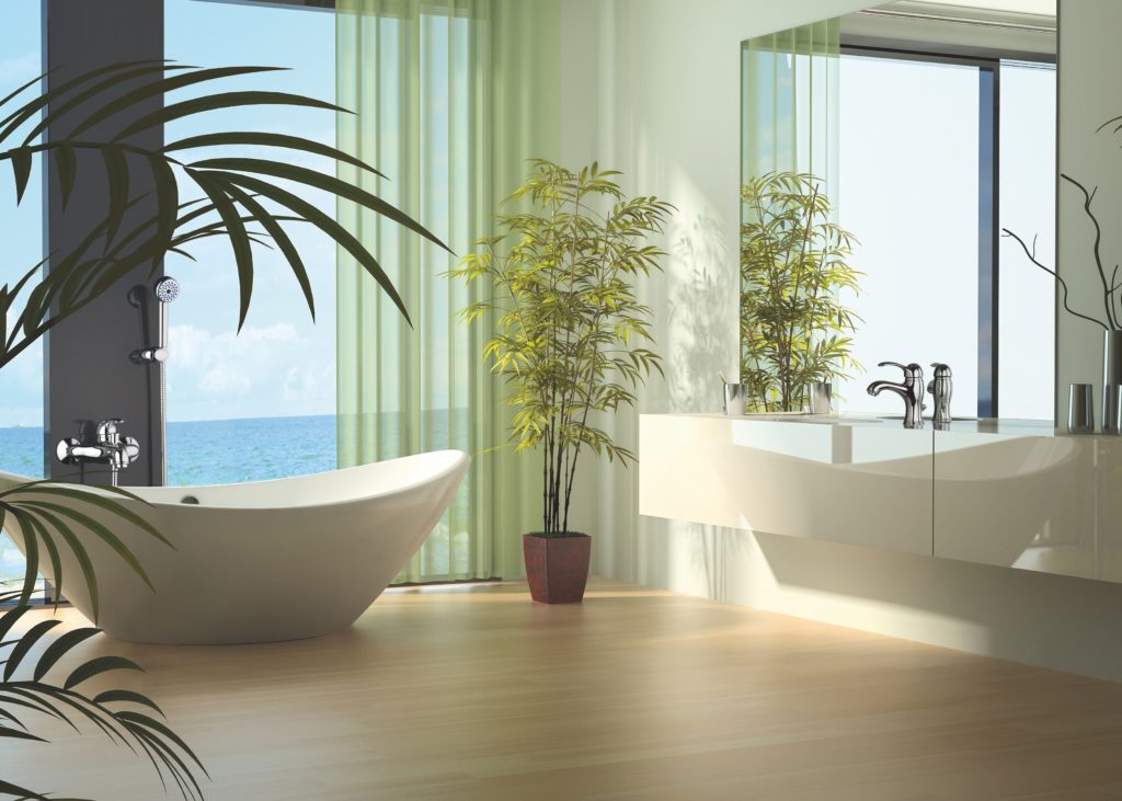 Collezione vivace e di classe