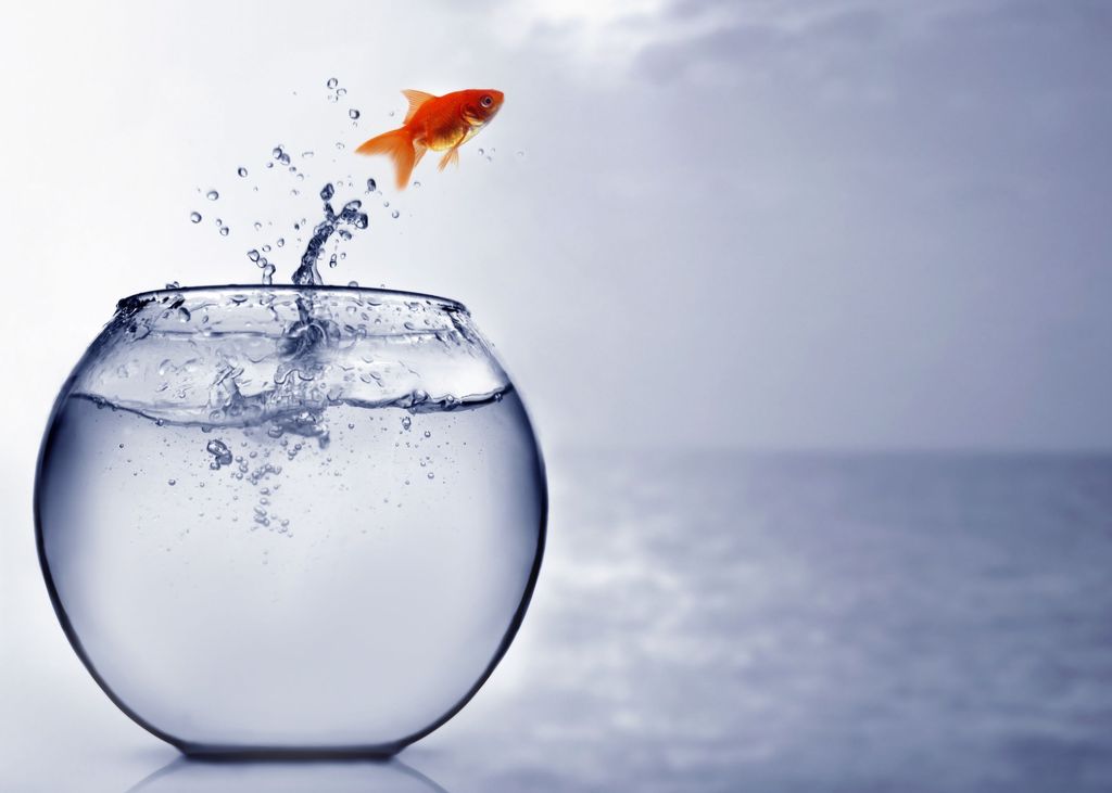 È l’ora di crescere