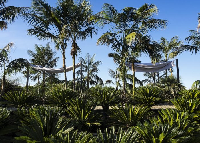 RADICEPURAGARDEN FESTIVAL 2.7.17