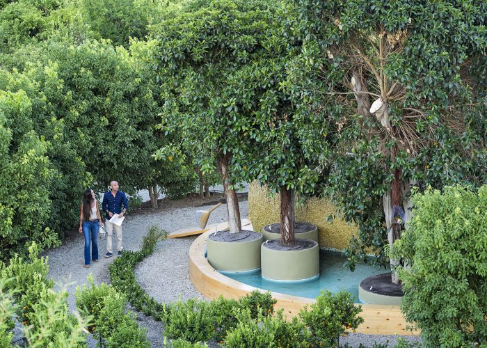RADICEPURAGARDEN FESTIVAL 2.7.17