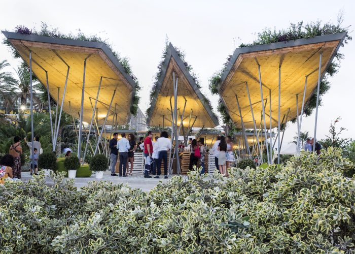 RADICEPURAGARDEN FESTIVAL 2.7.17
