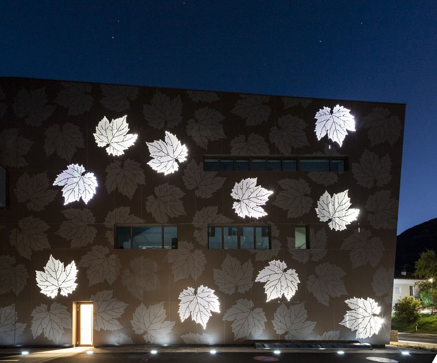Lamiere metalliche forate e facciate decorate con foglie di vite