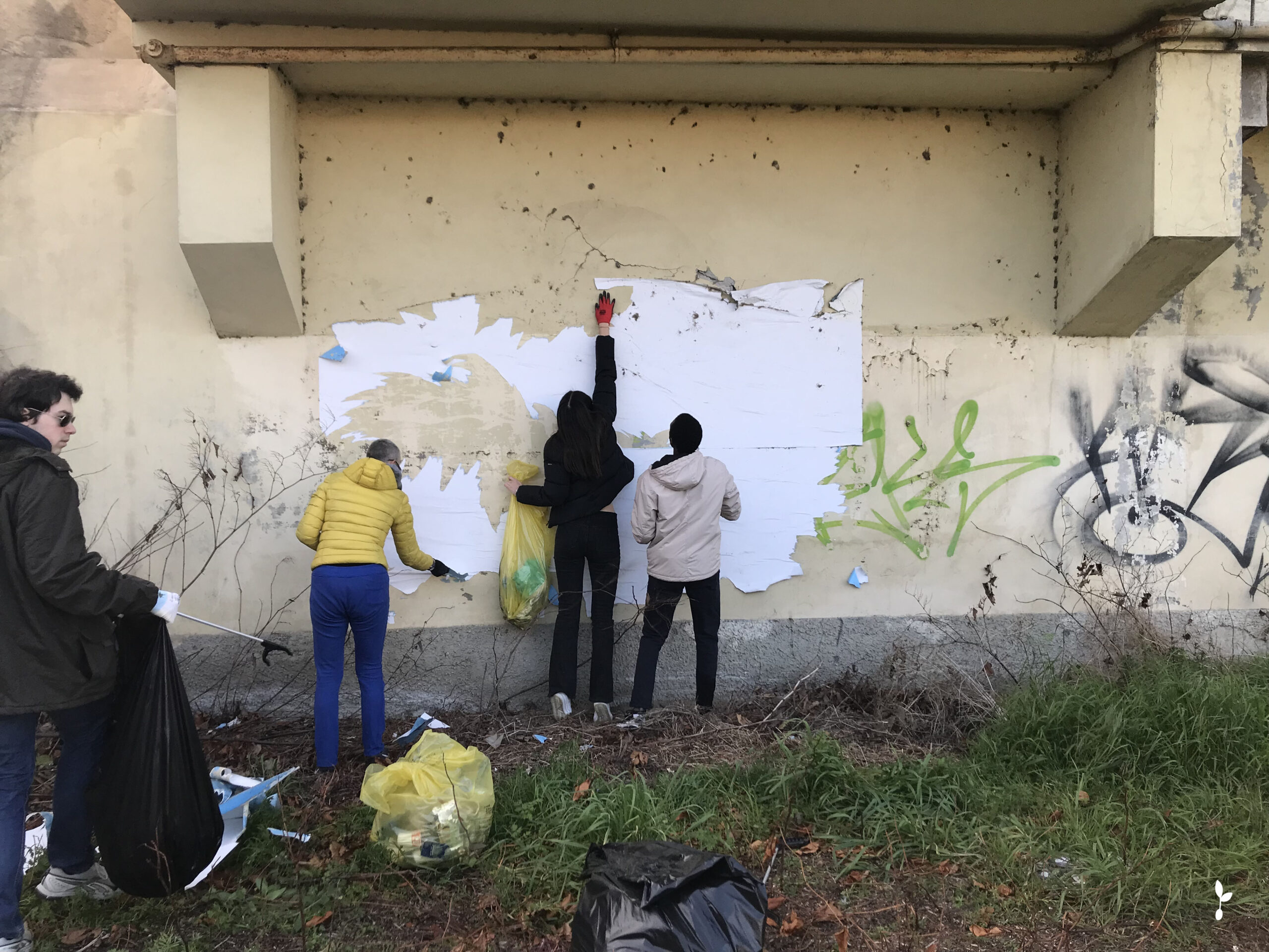 plastic pull rifiuti