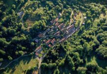 Is there a city with only electric cars?