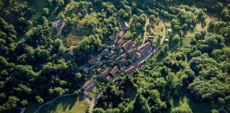 Is there a city with only electric cars?