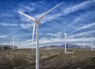 Brazil loves the wind
