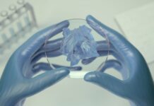 Jaguar Land Rover and Wolfspeed, silicon carbide for higher efficiency