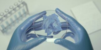 Jaguar Land Rover and Wolfspeed, silicon carbide for higher efficiency