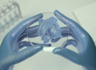 Jaguar Land Rover and Wolfspeed, silicon carbide for higher efficiency