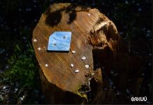 Batteries with 3D Printing? Here is the success of Sakuu