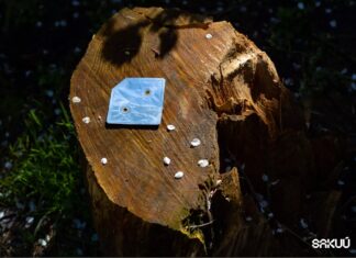 Batteries with 3D Printing? Here is the success of Sakuu