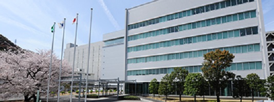 proprietà intellettuale