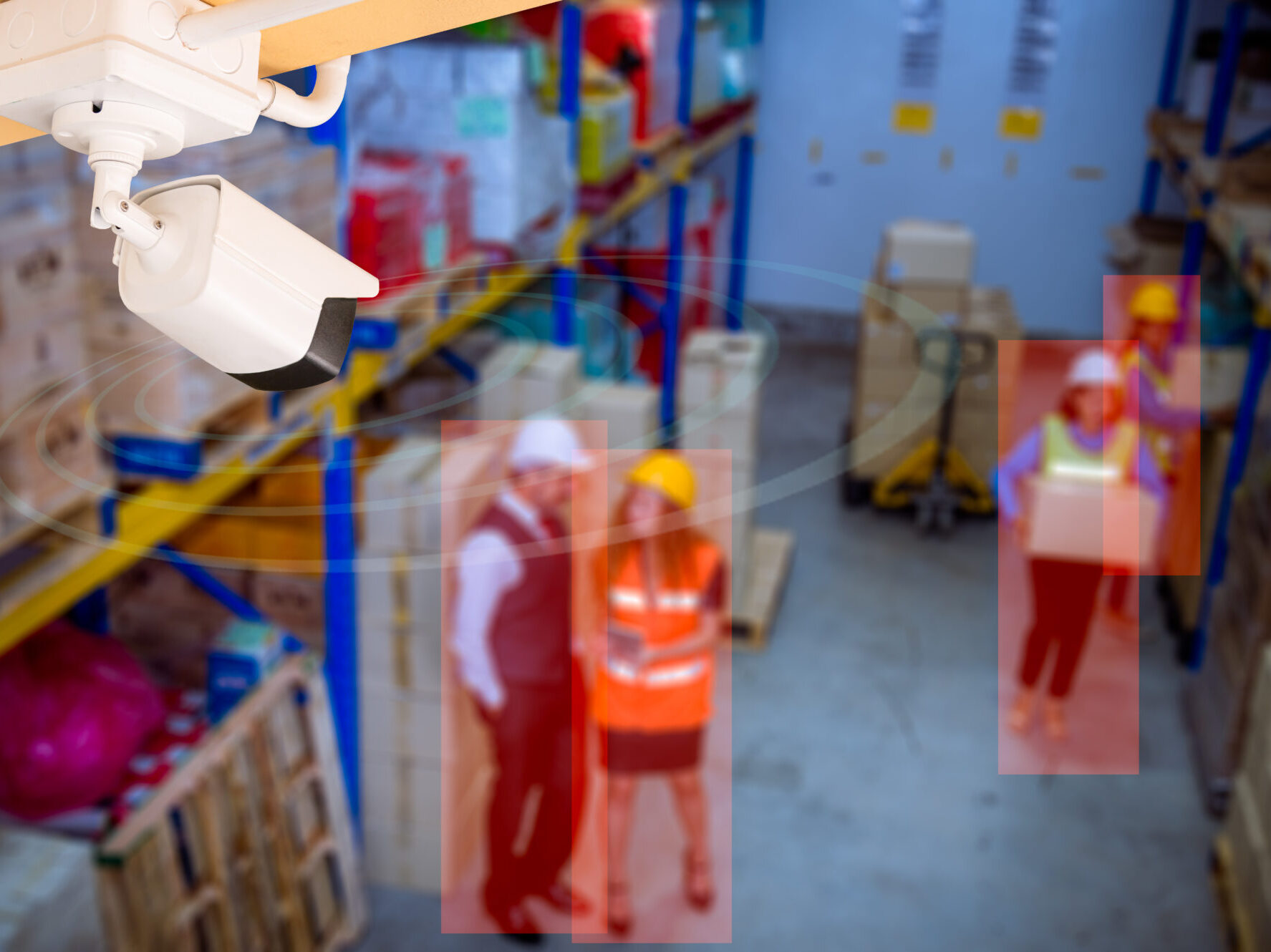 videosorveglianza e molestie