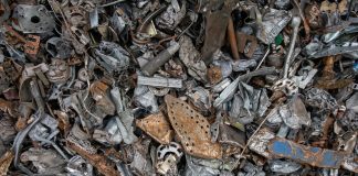 Giornata Mondiale dell’Ambiente 2025